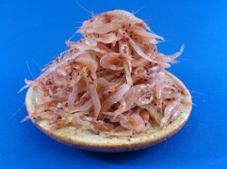 生桜えび(台湾：加熱加工用) 500g