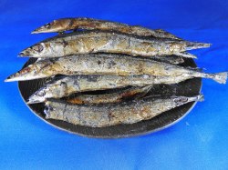 サンマ節 大 12kg 【レア節】