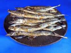 サンマ節