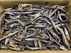 サンマ節 10kg 【訳あり特価：レア節】