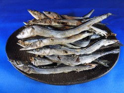 サンマ煮干し 1kg