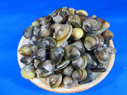 しじみ殻付き 1kg