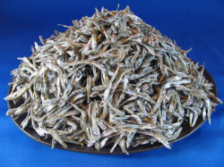 食べる煮干し 1kg《長崎産》