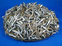 うるめ煮干し(平子・タレ混：長崎) 5kg 【訳あり特価】