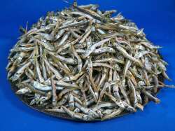うるめいわし煮干し 小 5kg 【訳あり特価】