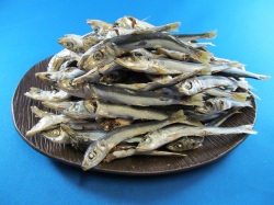 うるめいわし煮干し 1kg 通販 業務用販売 格安卸売 ネット商社ドットコム