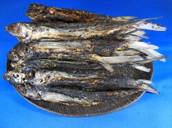 焼きあご(石川産) 9kg