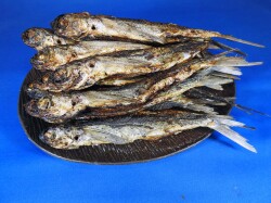 焼きあご(佐世保産) 大