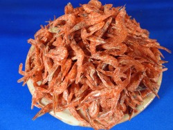 焼きえび(大分産) 30g