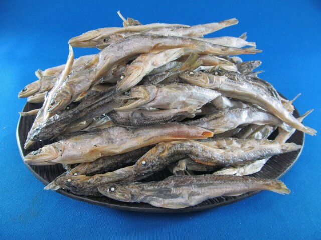 エソ煮干し(長崎産) 7kg【レア煮干し】｜業務用卸