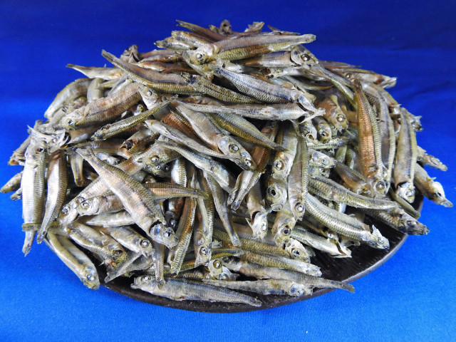 トウゴロウイワシ煮干し 4.5kg 業務用販売・通販・卸売｜ネット