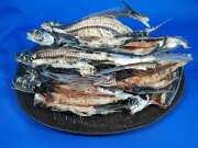 あご煮干し(氷見産) 7kg 【訳あり特価】