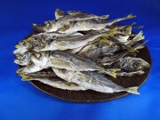 アジ煮干し(長崎) 1kg