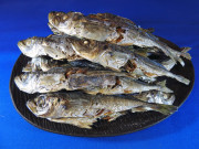 アジ煮干し(牛深) 1kg 【入荷未定です】