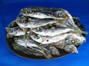 アジ煮干し(牛深) 5kg【新物】