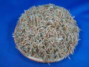 ちりめん(長崎) 6kg 【訳あり特価】