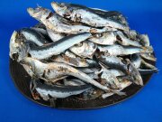 平子煮干し 中 10kg