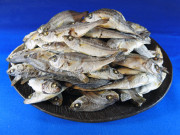イサキ煮干し 5kg 【レア煮干し：限定品】