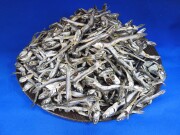 煮干しいわし(氷見) 1kg