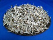 煮干しいわし(大分)  1kg 【入荷未定です】
