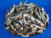 煮干しいわし(牛深) 10cm前後