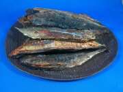 宗田節(牛深) 5kg 【少量入荷しました】