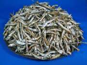 うるめいわし煮干し 小 5kg 【訳あり特価】