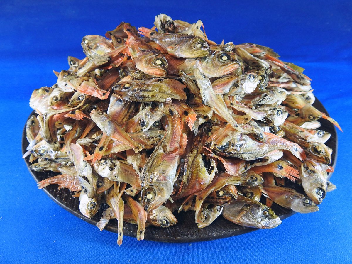 念仏鯛煮干し 5.5kg 【レア煮干し：限定品】 【入荷未定です】