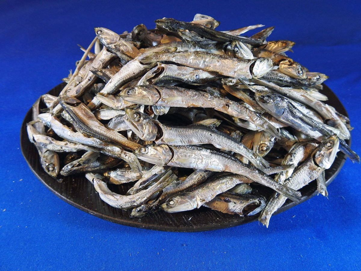 煮干しいわし(瀬戸内) 上 6kg 【入荷未定です】