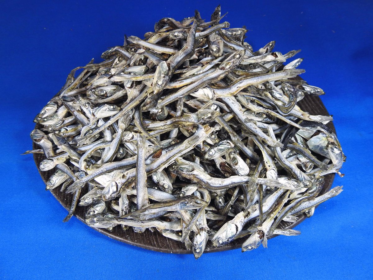 煮干しいわし(氷見) 1kg 【入荷未定です】