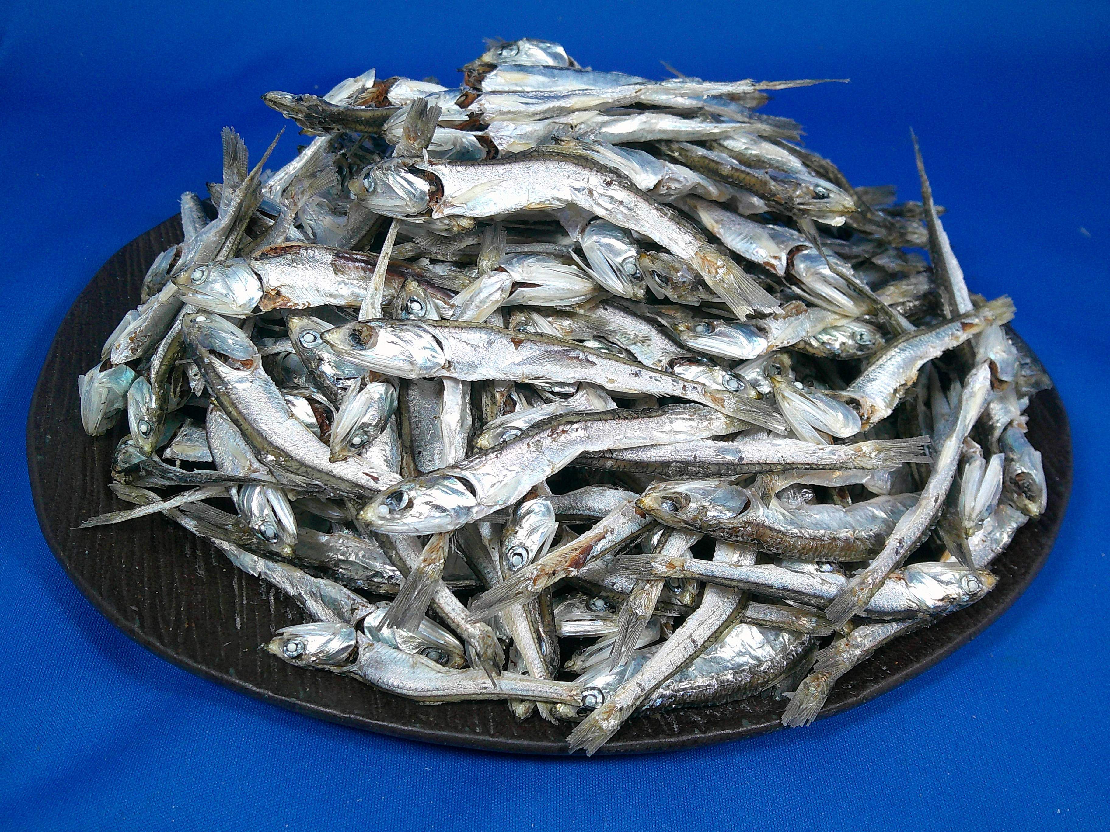 煮干しいわし(瀬戸内) 特上 1kg 【訳あり特価】
