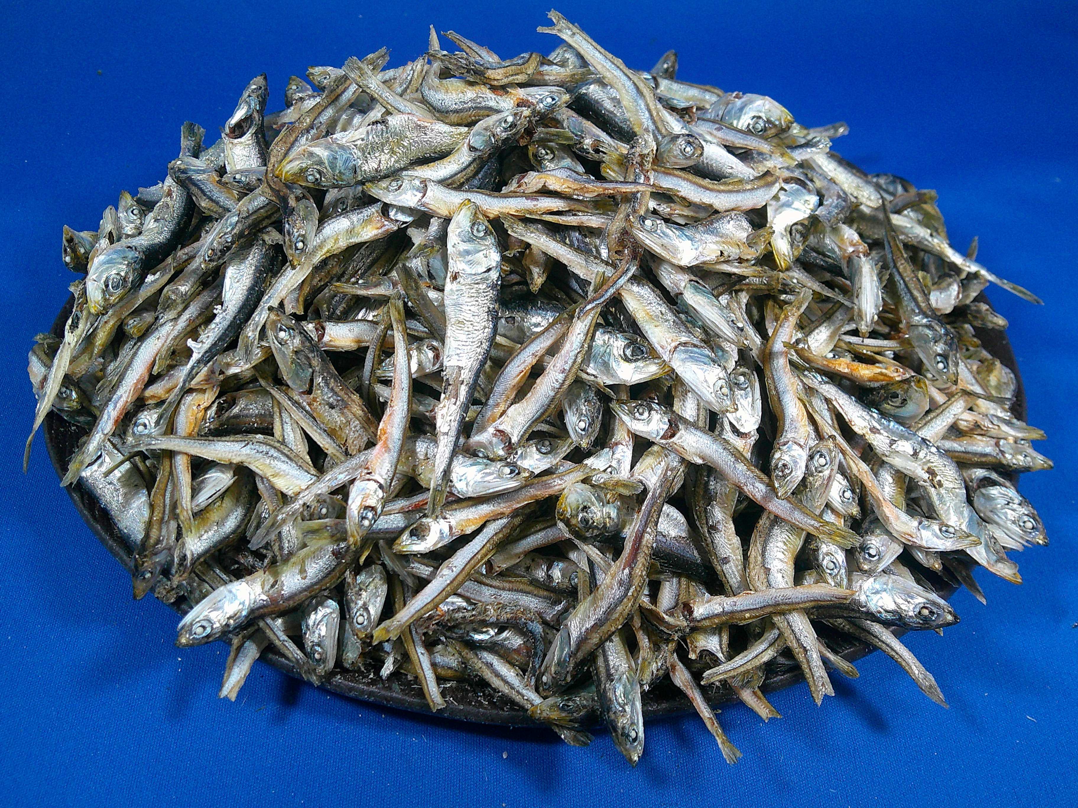 煮干しいわし(長崎) 白タレ 9kg 【訳あり特価】