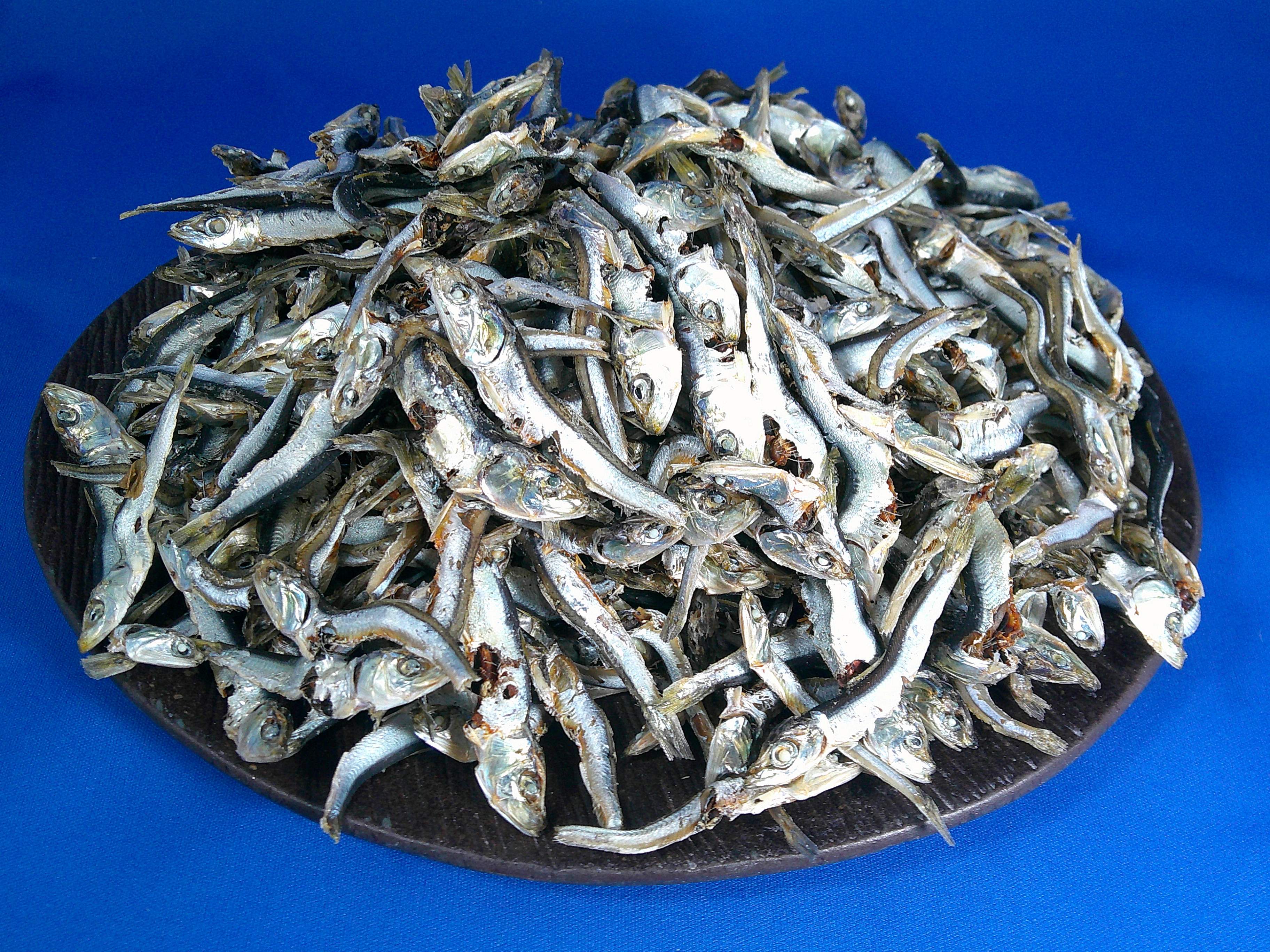 煮干しいわし(平子混：牛深) 小 9kg 【訳あり特価】