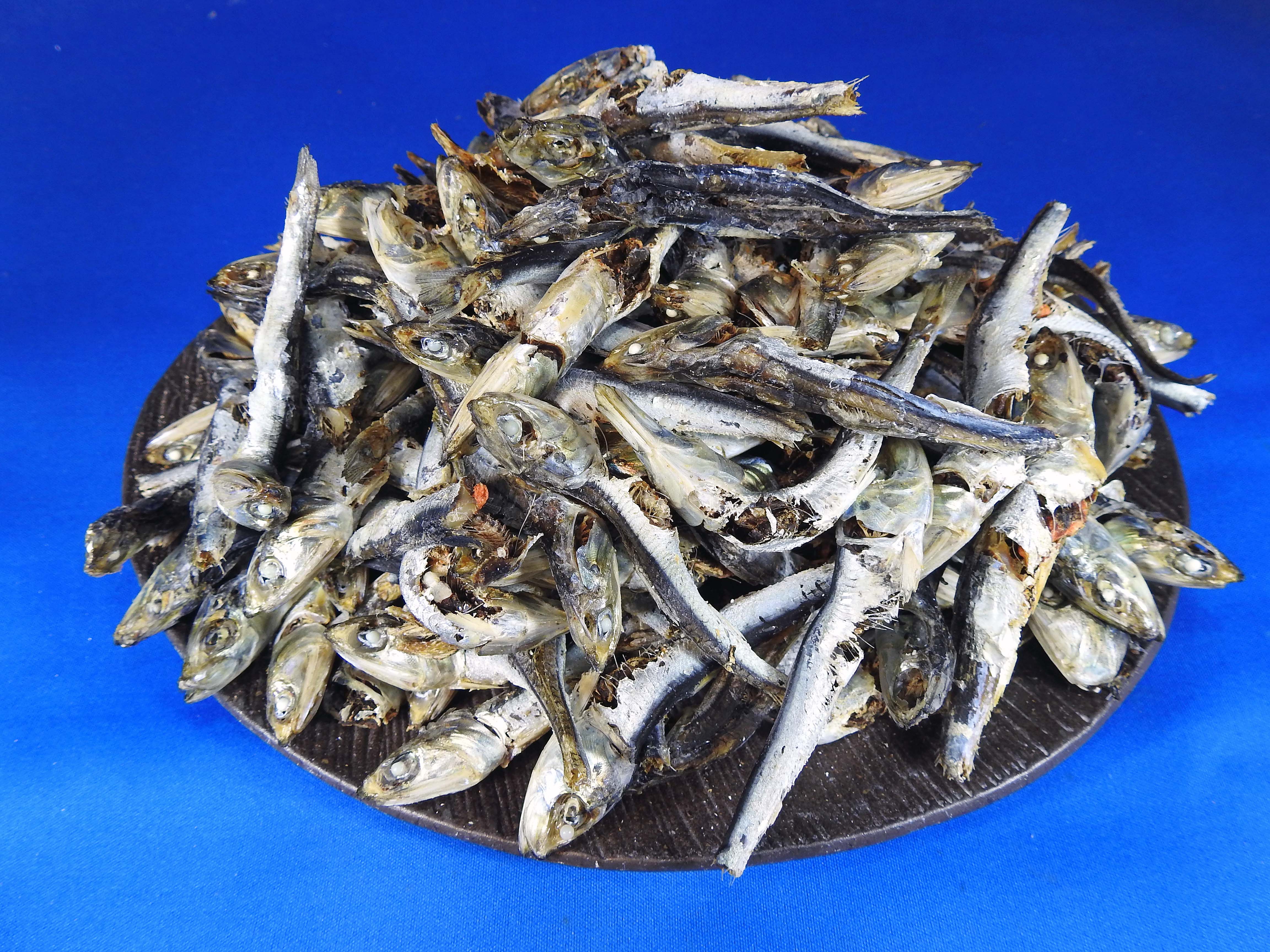 煮干しいわし(牛深) 大羽 5kg 【訳あり特価】