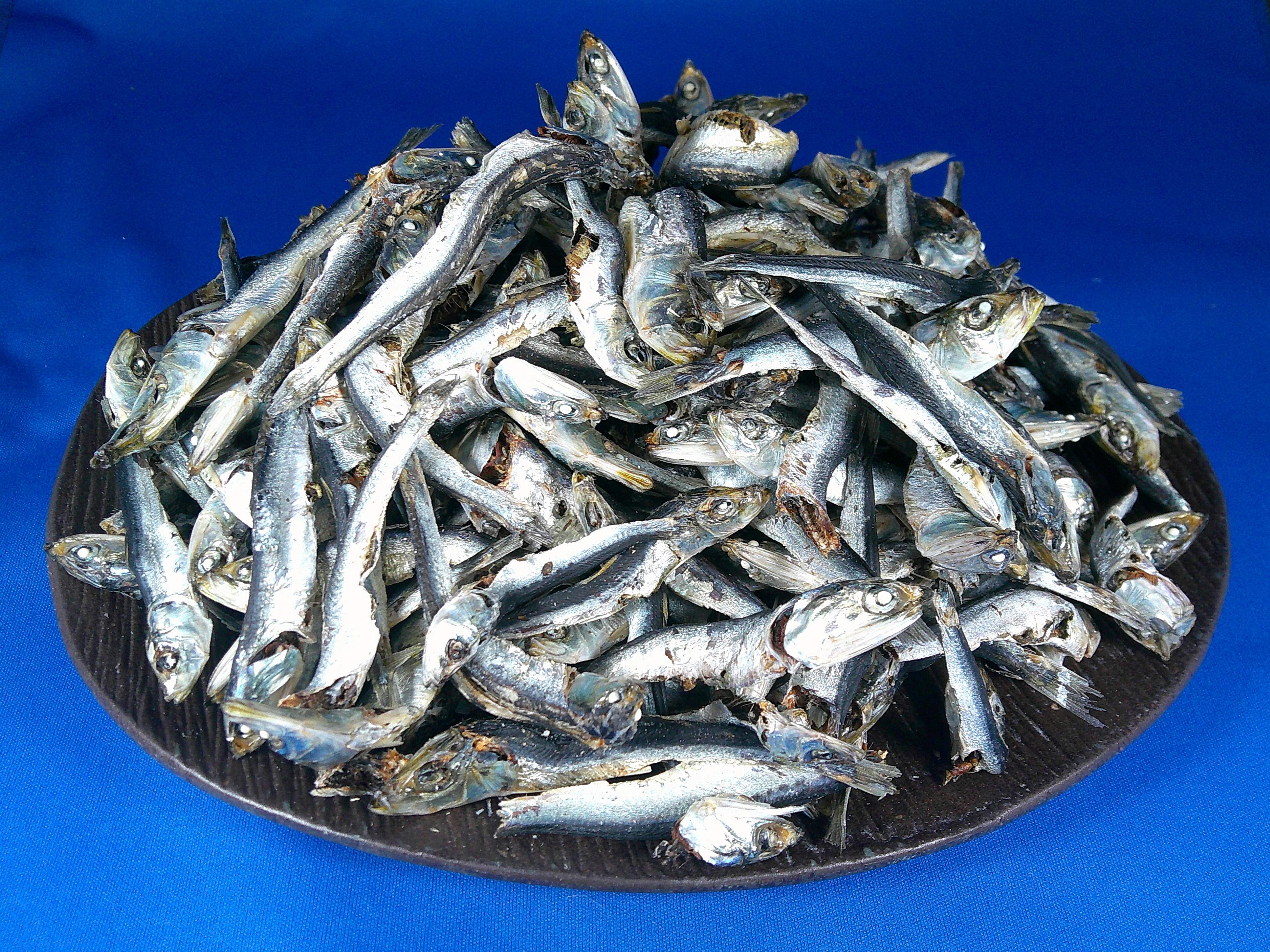 煮干しいわし(平子混：長崎) 8kg 【訳あり特価】【新商品】