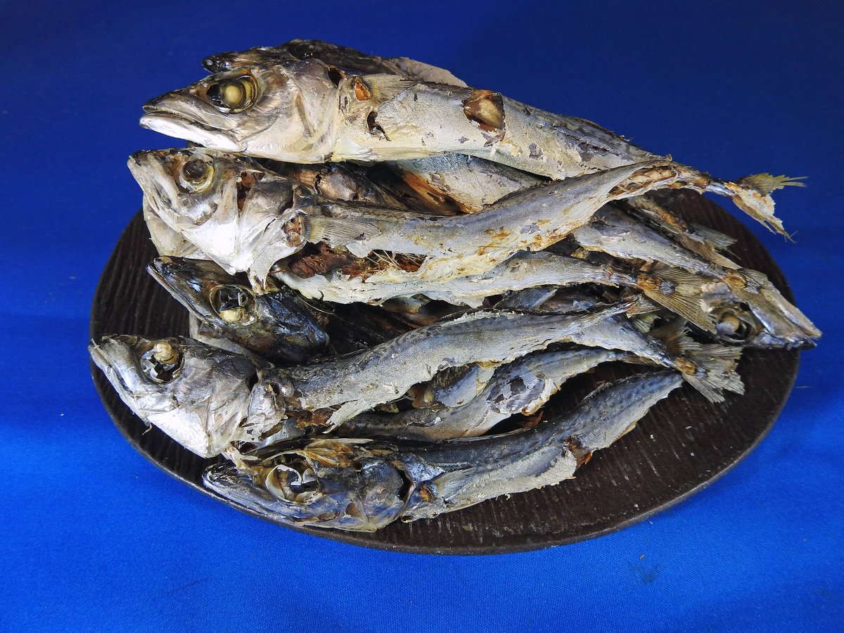 さば煮干し 大 5kg