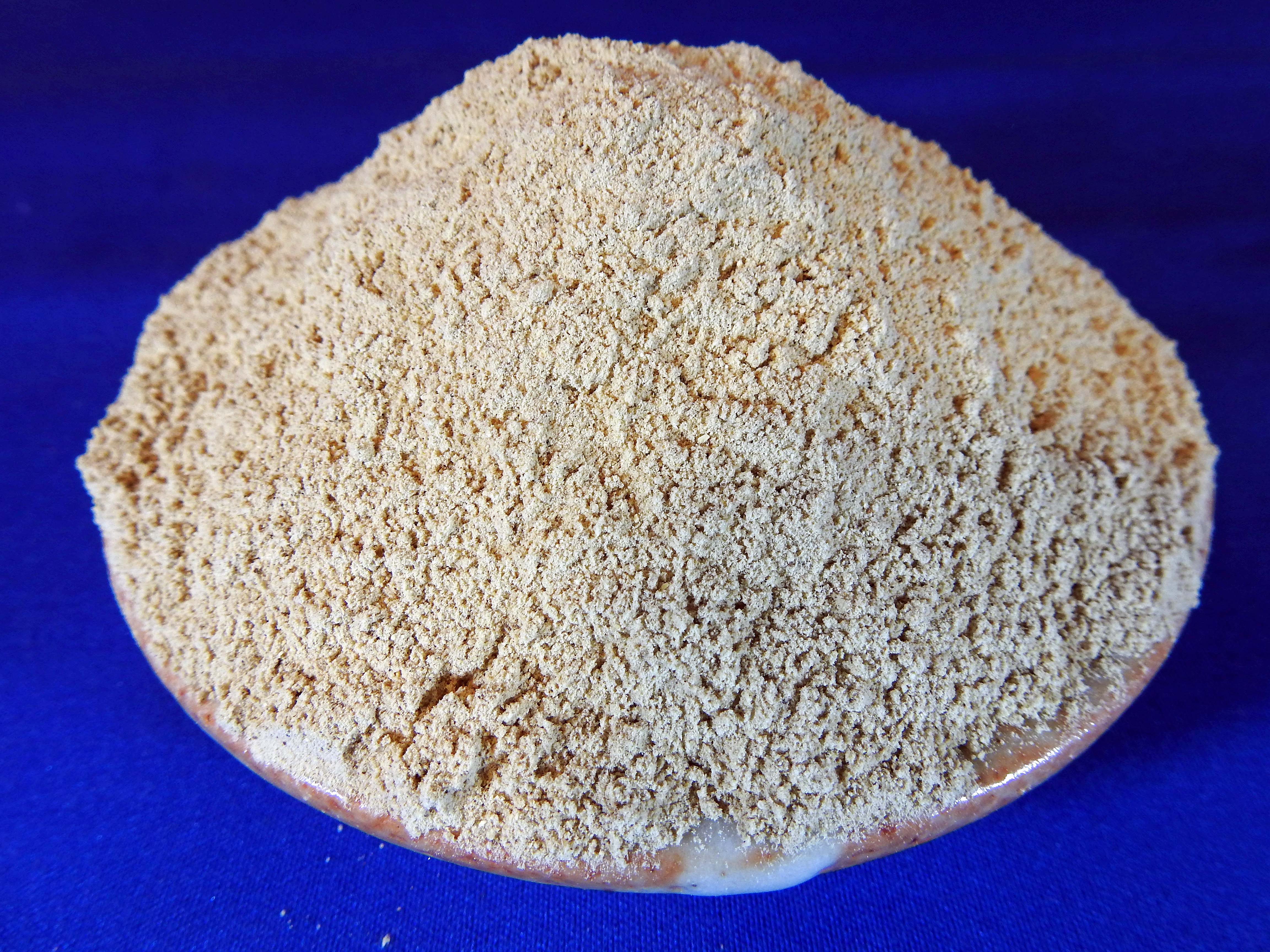 しいたけパウダー(国産) 1kg×10袋