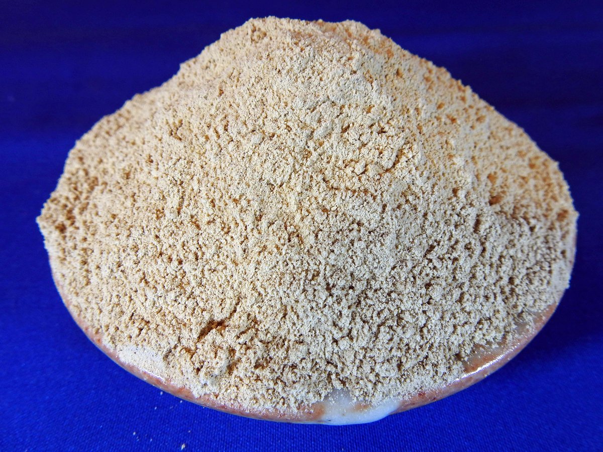 しいたけパウダー(国産) 1kg×10袋