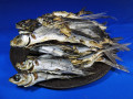 あご煮干し(平戸産：牛深製造) 9kg