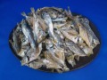 ヒイラギ煮干し(アジ混) 9kg 【レア煮干し限定品】