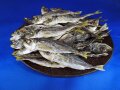 アジ煮干し(長崎) 5kg