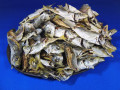 アジ煮干し 小 1kg  【次回入荷は未定です】