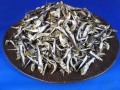 平子煮干し 小 9kg 【訳あり特価】