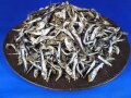 平子煮干し 小 5kg