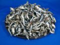 平子煮干し 5kg