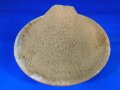 かつお節パウダー 1kg×10袋