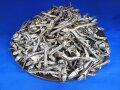 煮干しいわし(氷見) 1kg 【入荷未定です】