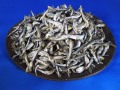 煮干しいわし(平子混：長崎) 5kg 【訳あり特価】