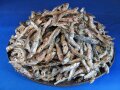 煮干しいわし(長崎) 白タレ 9kg 【入荷未定です】