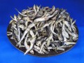 煮干しいわし(大分) 上  5kg  【新商品】